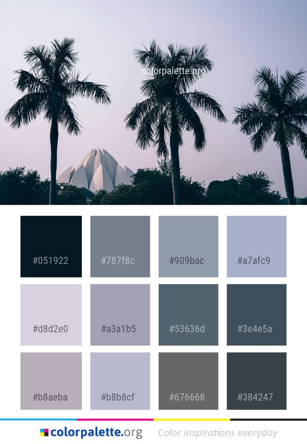Tree Sky Woody Plant Color Palette