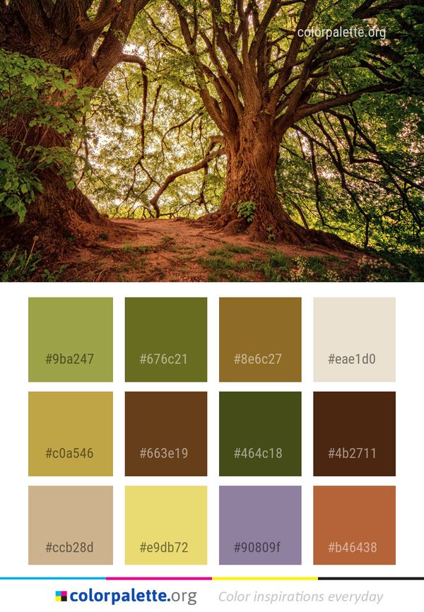 Tree Woodland Nature Color Palette