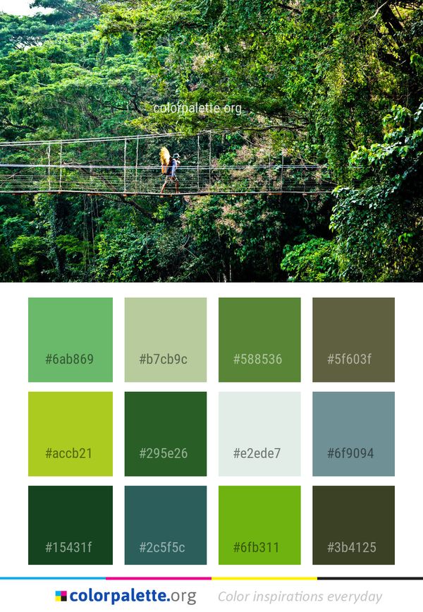 Vegetation Nature Reserve Color Palette