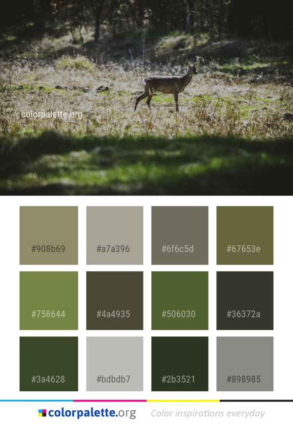 Wildlife Deer Fauna Color Palette