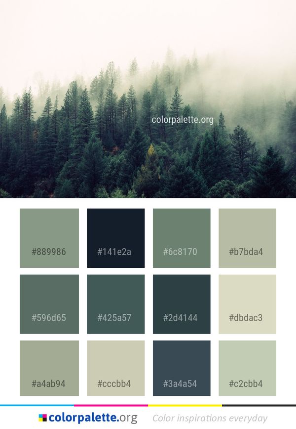 Ecosystem Mist Tree Color Palette