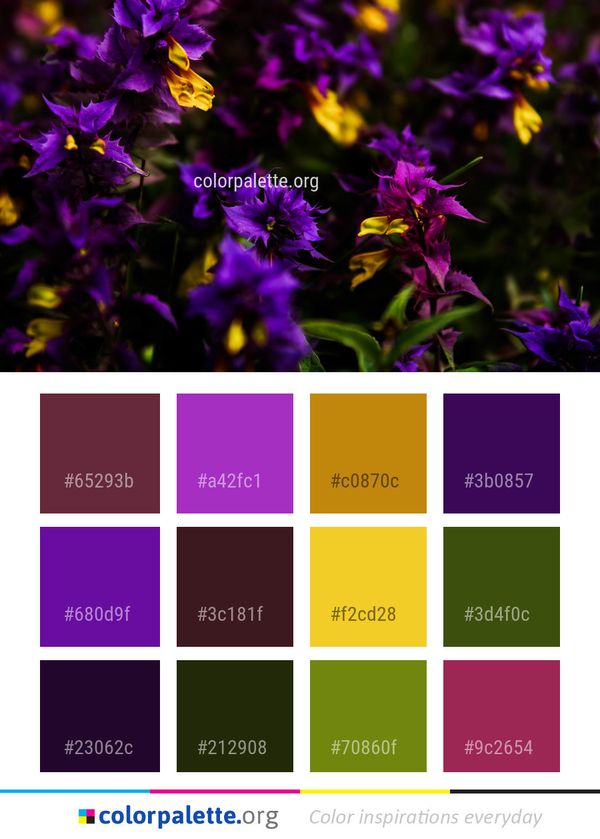 Flower Purple Plant Color Palette