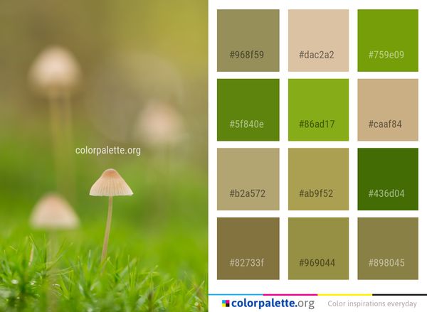 Macro Photography Leaf Flora Color Palette