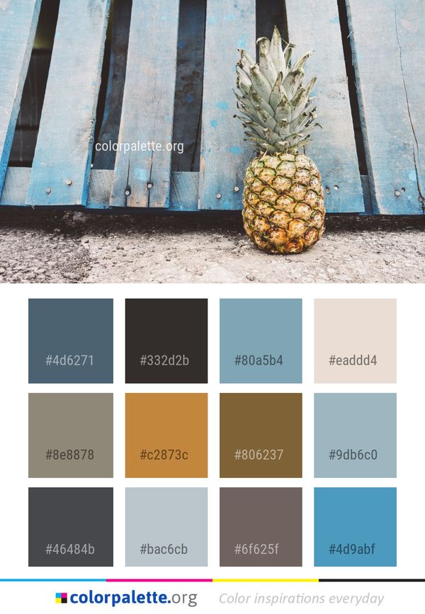 Pineapple Ananas Plant Color Palette