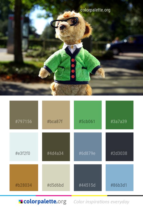Toy Stuffed Snout Color Palette