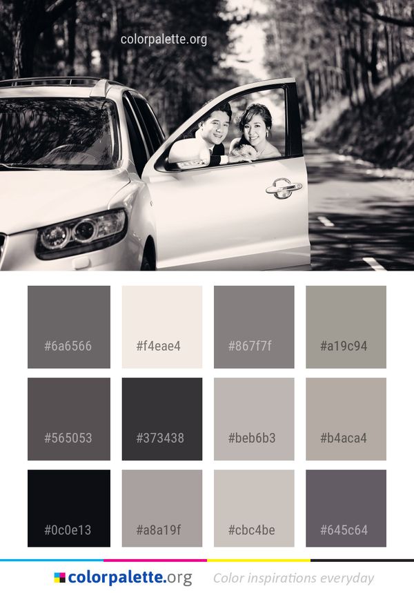 Car Motor Vehicle White Color Palette