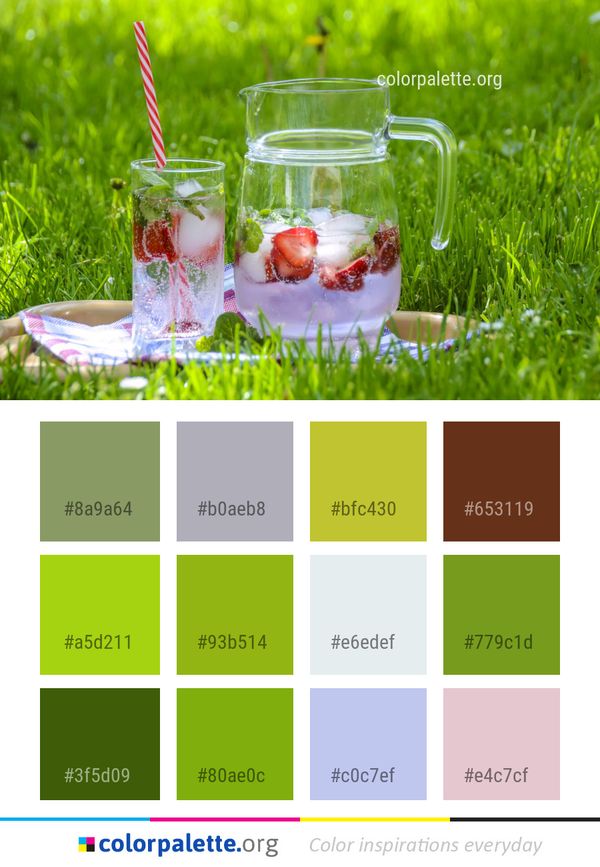 Grass Family Meadow Color Palette