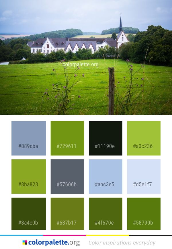 Grassland Green Field Color Palette