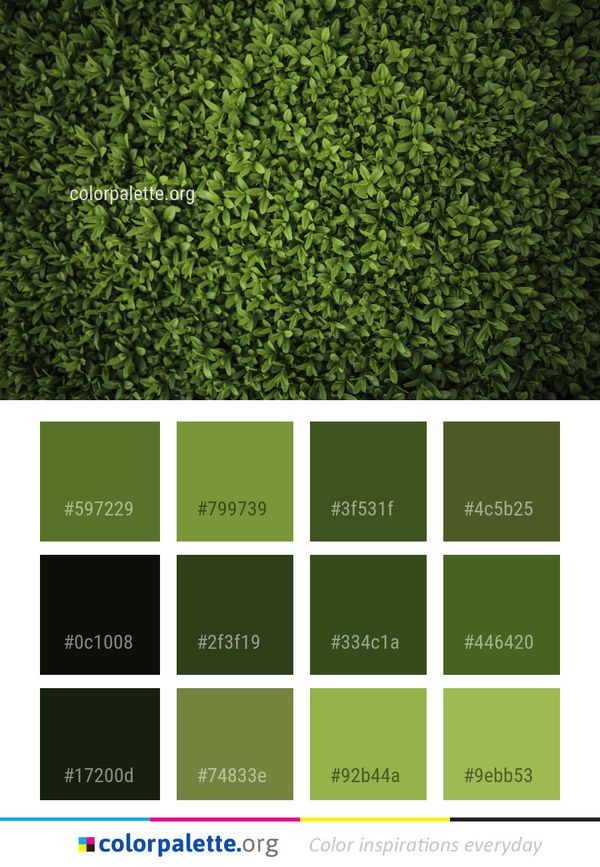 Green Grass Vegetation Color Palette