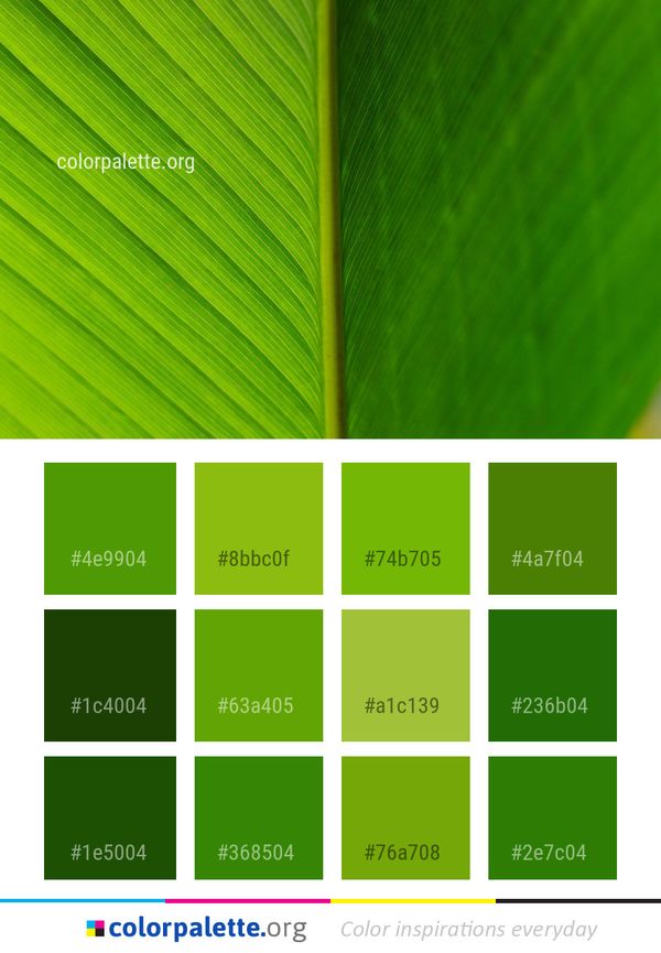 Green Leaf Plant Color Palette