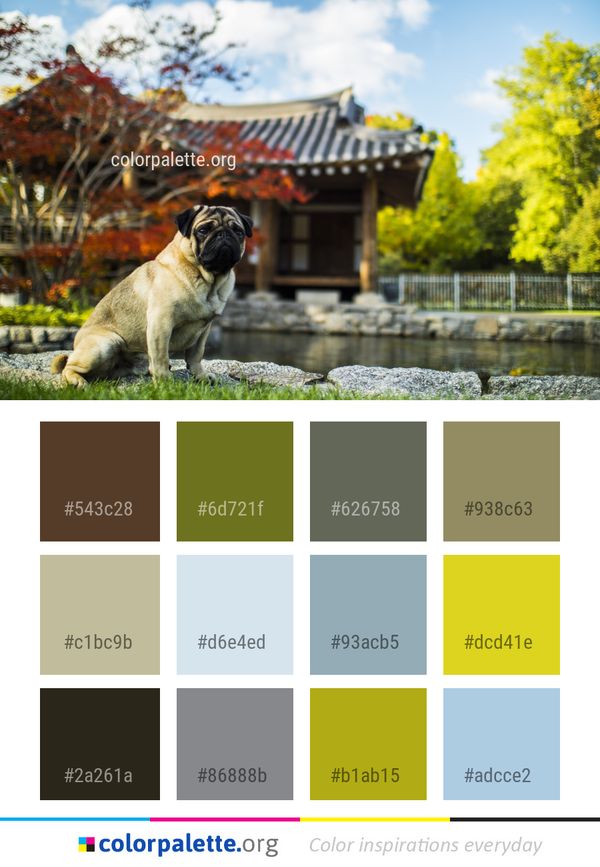 Leaf Dog Plant Color Palette