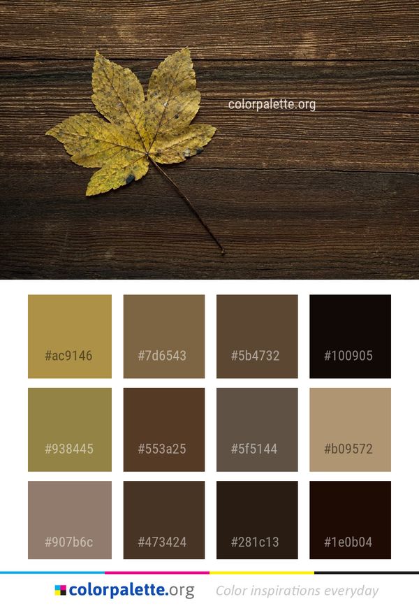 Leaf Wood Maple Color Palette