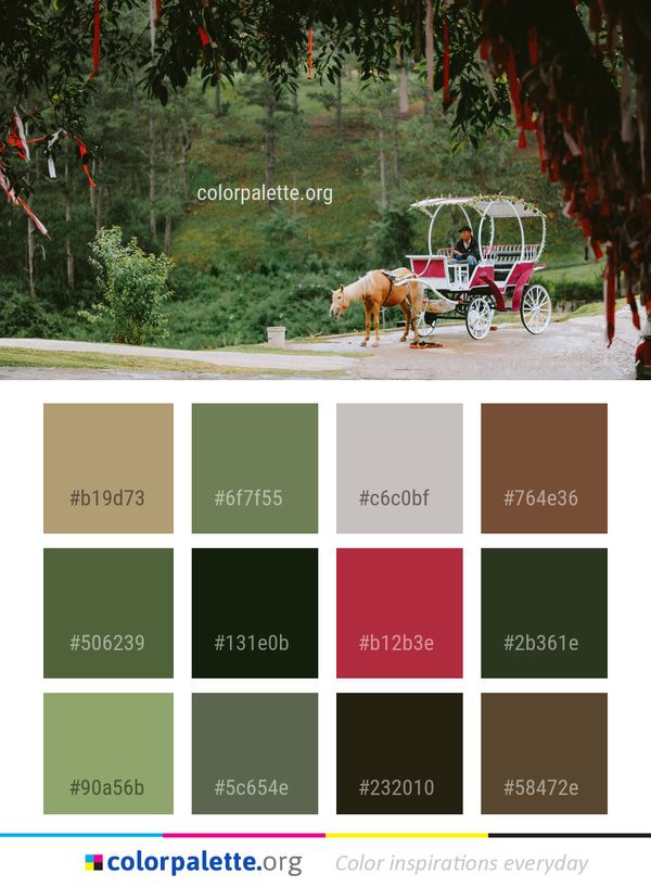 Nature Tree Plant Color Palette
