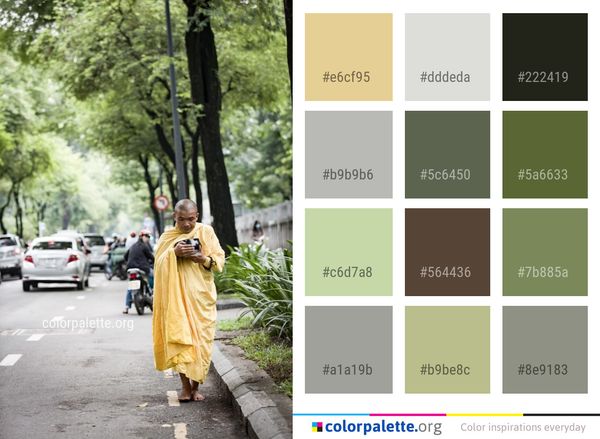 Photograph Yellow Tree Color Palette