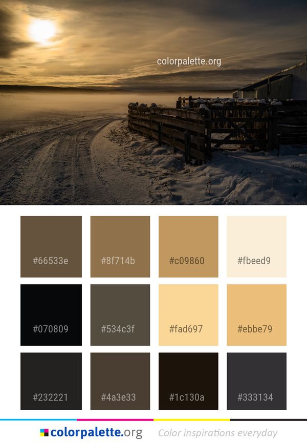 Sky Cloud Horizon Color Palette