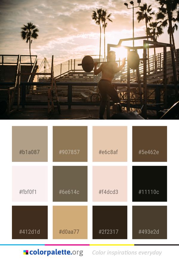 Sky Morning Tree Color Palette