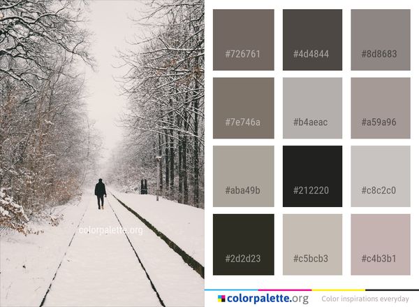 Snow Winter Tree Color Palette