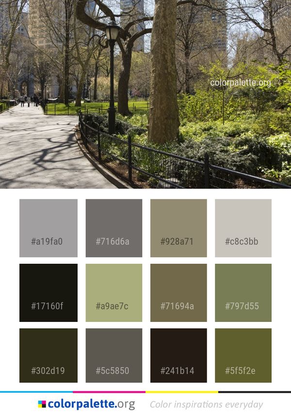 Tree Plant Path Color Palette
