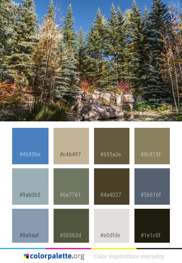 Ecosystem Tree Wilderness Color Palette