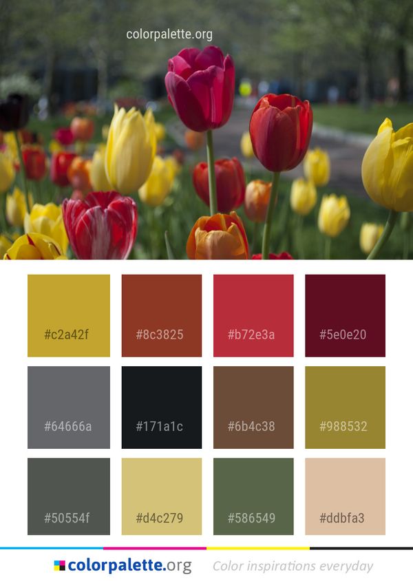 Flower Plant Flowering Color Palette
