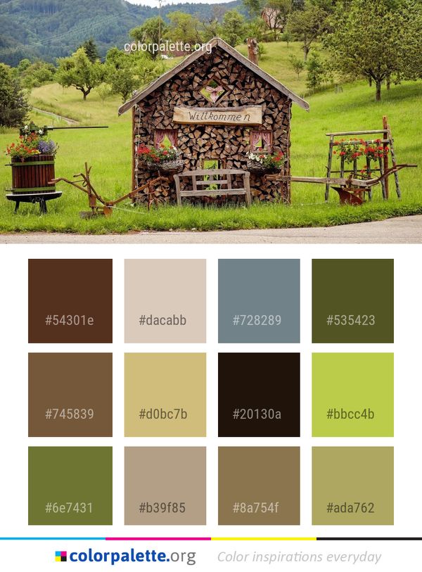 Hut Rural Area Grass Color Palette