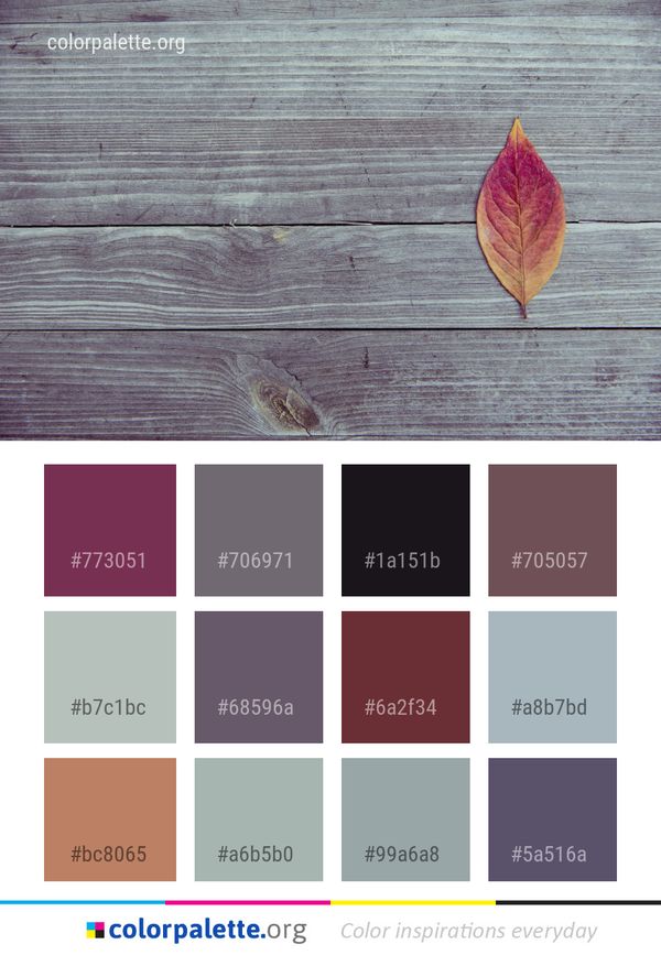 Leaf Wood Stain Color Palette