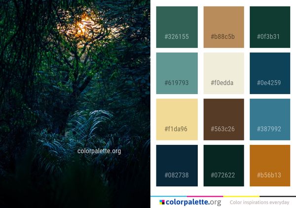 Nature Forest Vegetation Color Palette