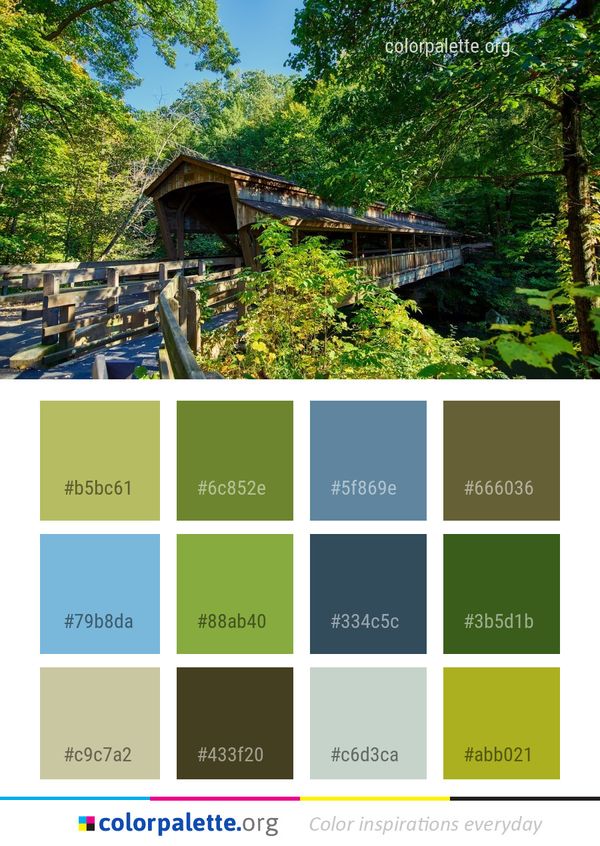 Nature Reserve Vegetation Color Palette
