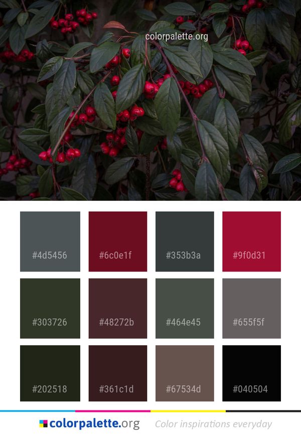 Plant Leaf Flower Color Palette