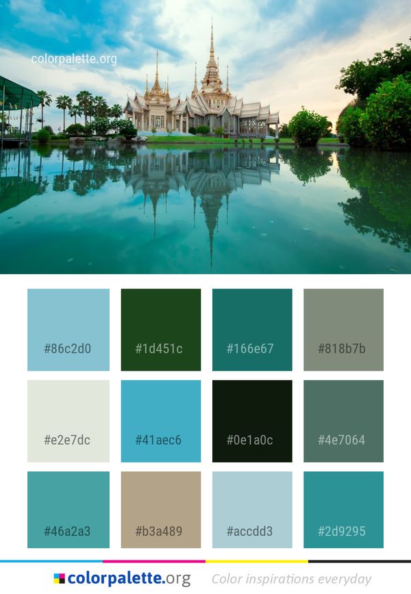 Reflection Nature Green Color Palette