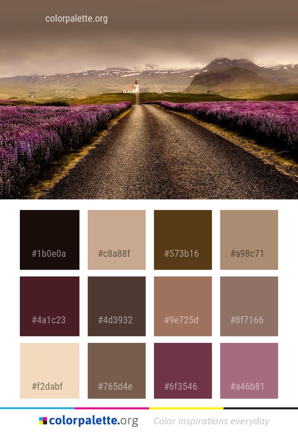 Road Sky Field Color Palette