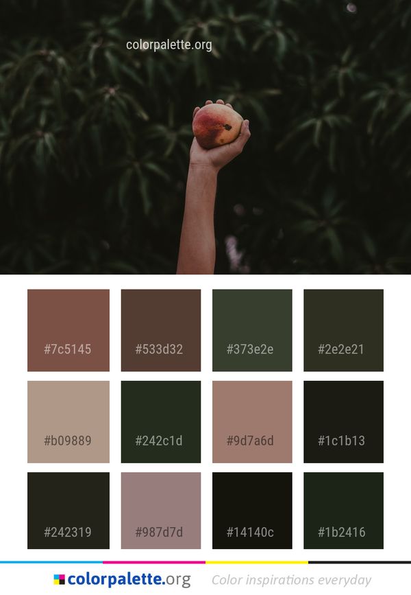 Tree Darkness Hand Color Palette