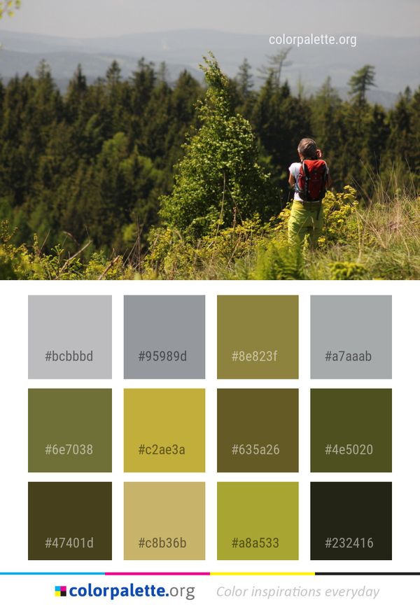 Tree Ecosystem Wilderness Color Palette