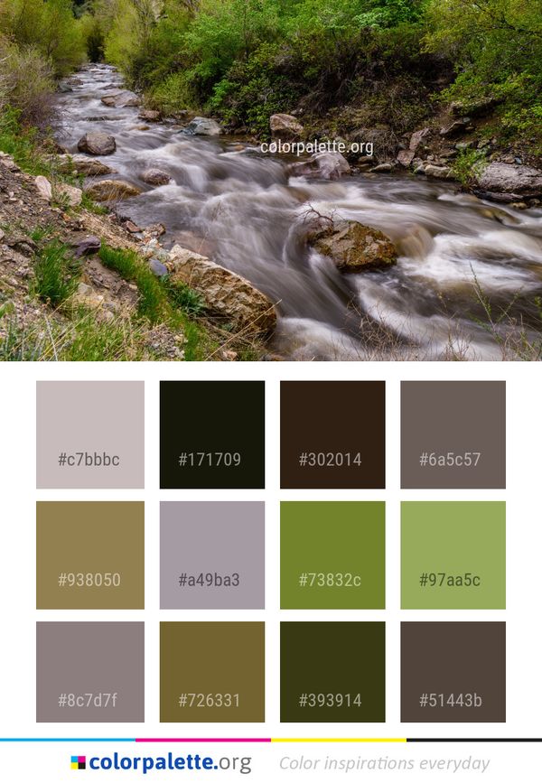 Water Stream Nature Color Palette