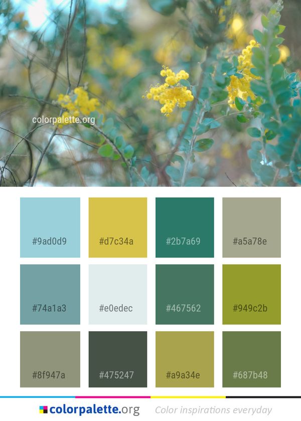 Yellow Flora Flower Color Palette