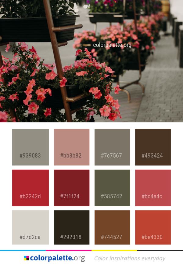 Flower Plant Flowering Color Palette