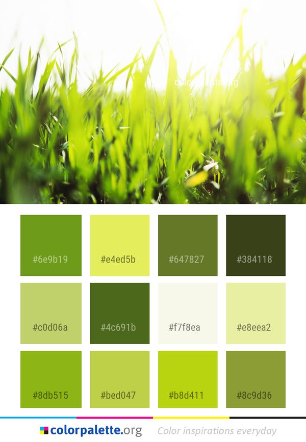 Green Grass Family Color Palette