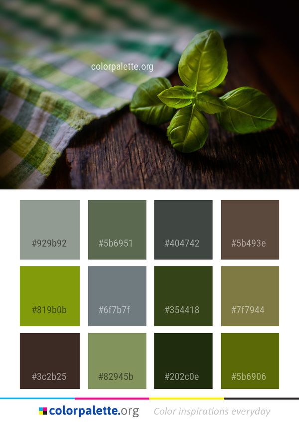 Green Leaf Macro Photography Color Palette