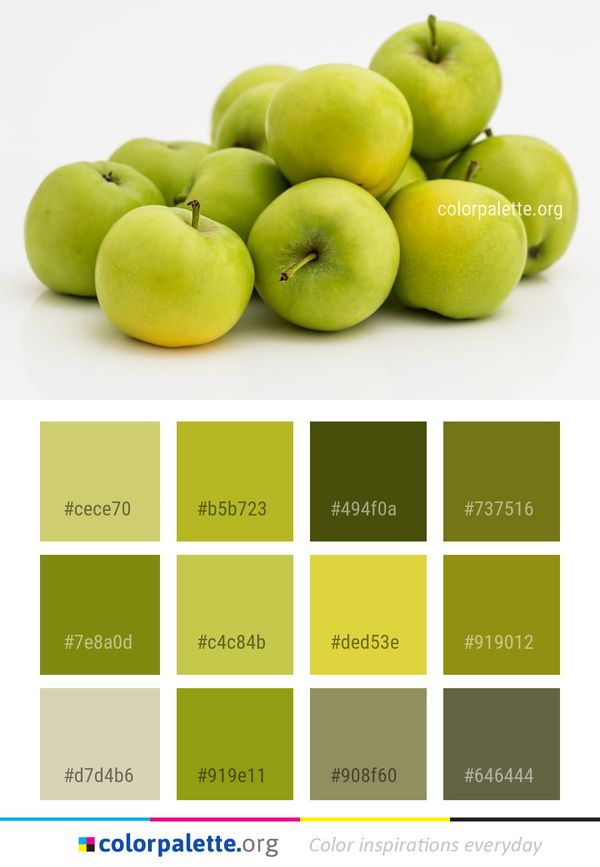 Natural Foods Produce Fruit Color Palette