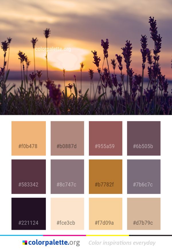 Sky Dawn Morning Color Palette