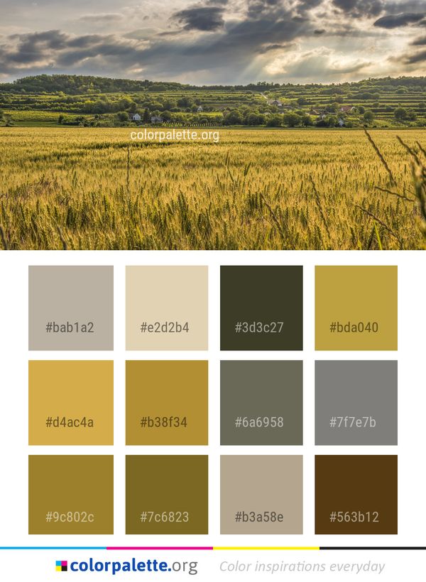 Sky Grassland Field Color Palette