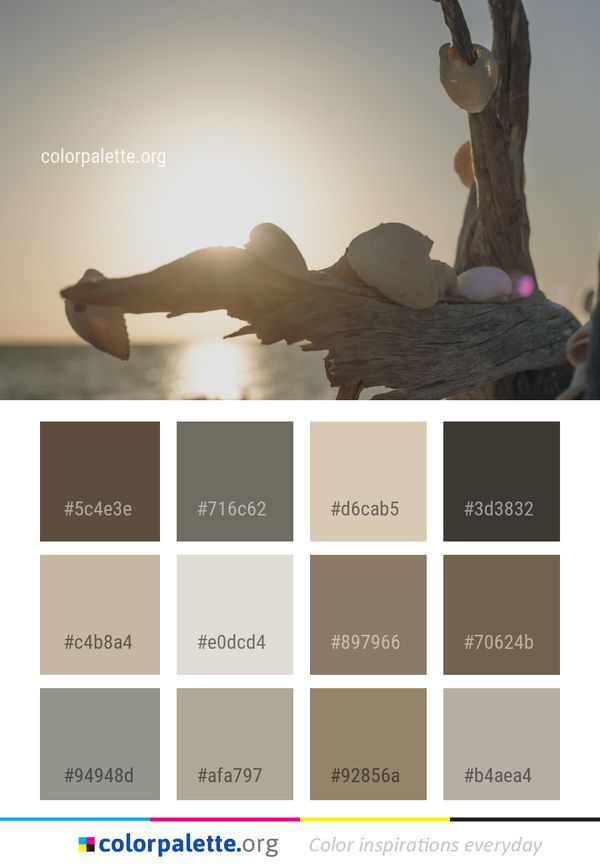 Sky Light Wood Color Palette