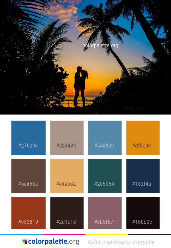 Sky Nature Palm Tree Color Palette