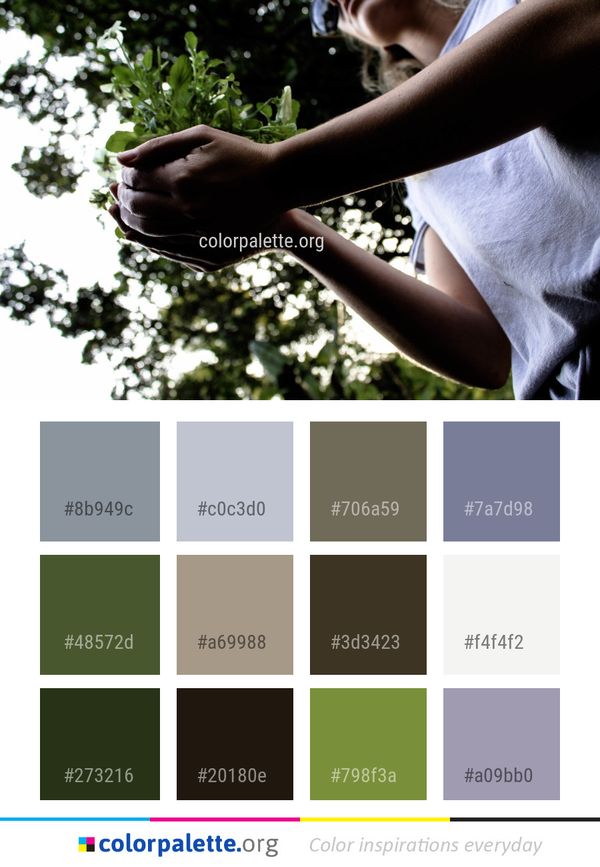 Tree Hand Leaf Color Palette