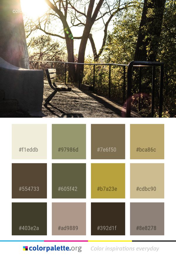 Tree Nature Plant Color Palette