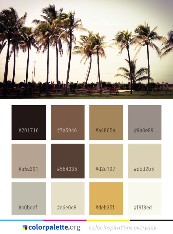 Tree Palm Woody Plant Color Palette