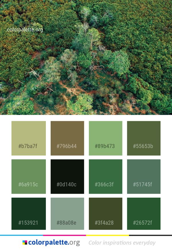 Vegetation Ecosystem Nature Reserve Color Palette