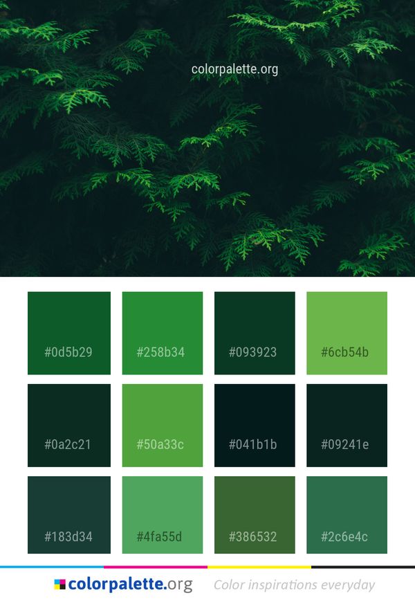 Vegetation Green Nature Color Palette
