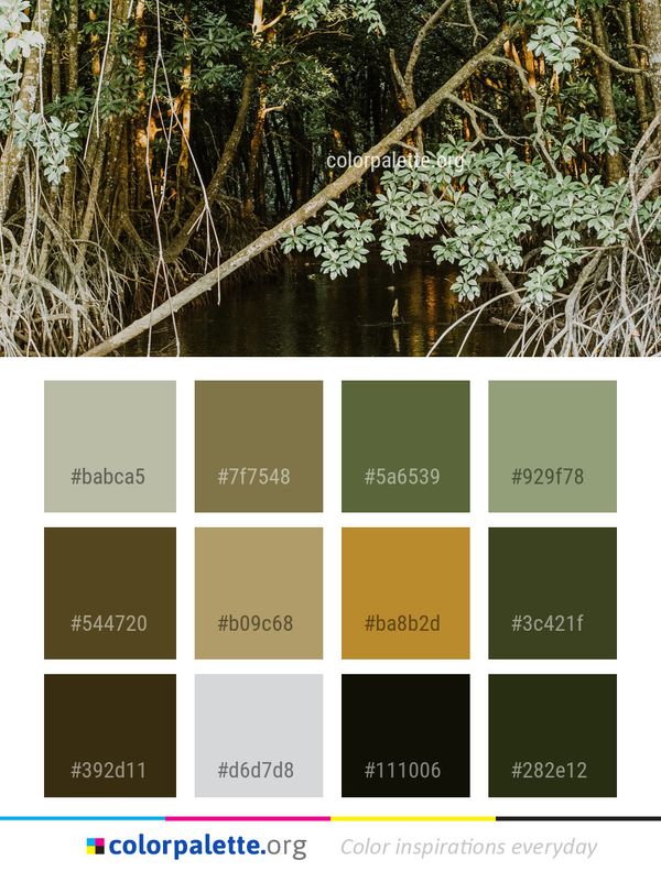 Water Vegetation Tree Color Palette