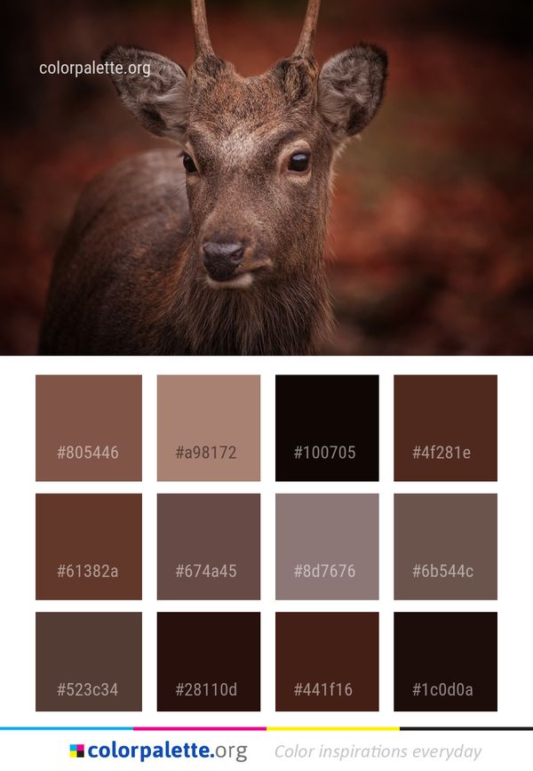 Wildlife Fauna Deer Color Palette